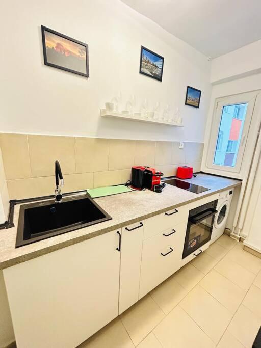 Cosy Apartment #12Lunipebega Timisoara Luaran gambar