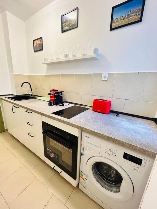 Cosy Apartment #12Lunipebega Timisoara Luaran gambar